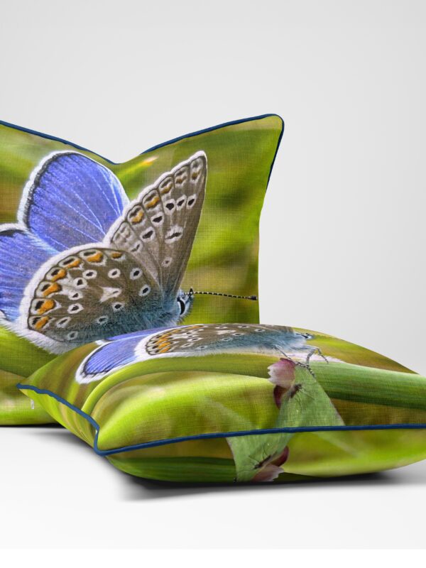 From My Mother's Garden Common Blue Velvet cushion has a lime green background. It is a square cushion with blue piping 45 x 45cm