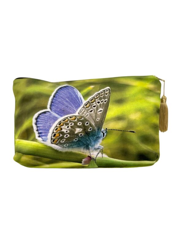 Common Blue Butterfly velvet makeup large makeup bag by From My Mother's Garden