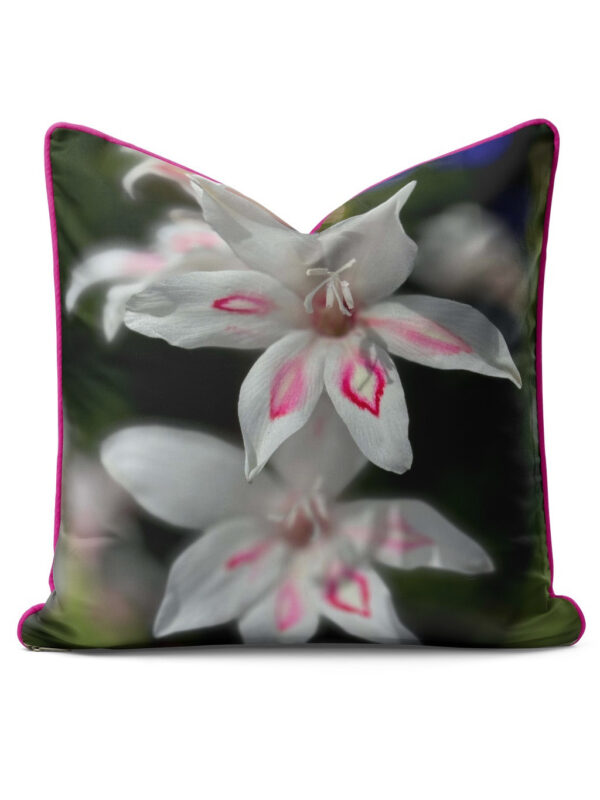 From My Mother's Garden Gladiolus Nanus Nymph velvet cushion with pink piping, double sided image and stuffed with an eco cushion