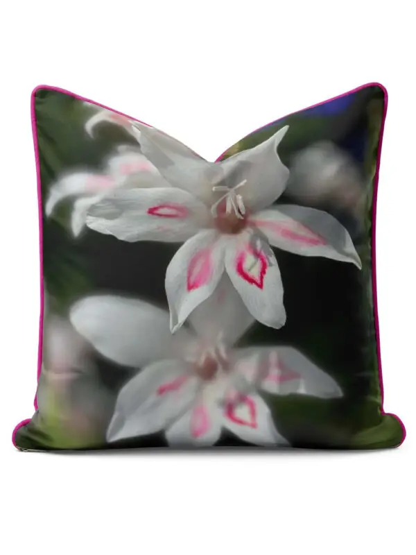 From My Mother's Garden Gladiolus Nanus Nymph velvet cushion with pink piping, double sided image and stuffed with an eco cushion