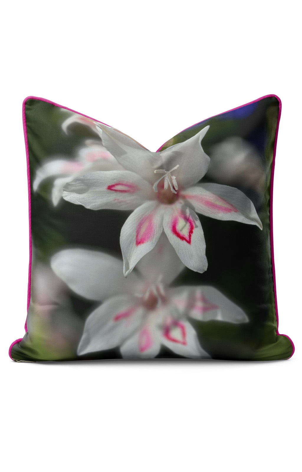 From My Mother's Garden Gladiolus Nanus Nymph velvet cushion with pink piping, double sided image and stuffed with an eco cushion