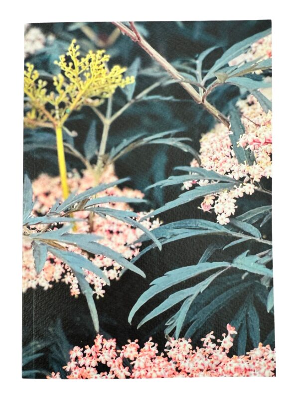 From My Mother’s Garden A5 Black Lace lined notebook with textured card cover and 100 plain pages for writing, drawing, lists and gardening ideas.
