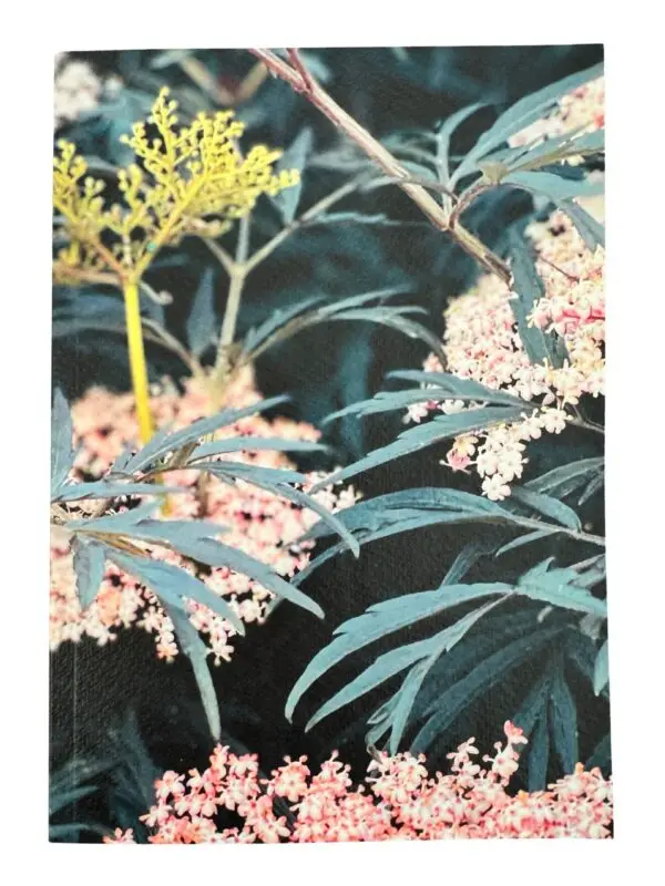 From My Mother’s Garden A5 Black Lace lined notebook with textured card cover and 100 plain pages for writing, drawing, lists and gardening ideas.
