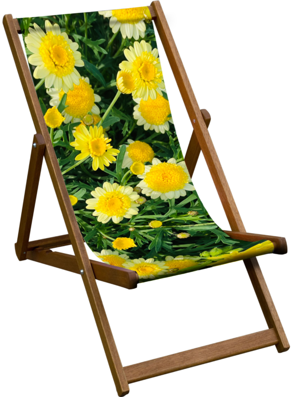 Bright daisy floral deckchair with durable sailcloth sling and solid birch wood frame. Handmade in the UK using FSC wood—strong, cheerful outdoor seating