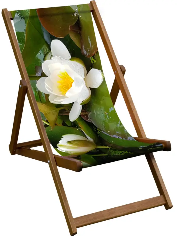 Elegant waterlily deckchair with durable sailcloth sling and hardwood Merpauh frame. Handmade in the UK—strong, sustainable and beautifully designed outdoor seating